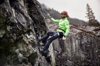 Fern-green (ca. Pantone 342C)