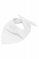 White (ca. Pantone White)