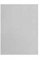 Silver (ca. Pantone 421C)