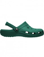 Lab Green 17