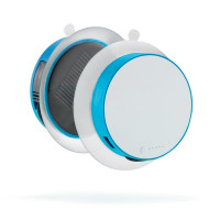 turkis, weiß (± PMS 313/White)