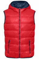 Red/navy (ca. Pantone 193C/2767C)