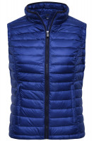 Ink/black (ca. Pantone 654C/blackC)