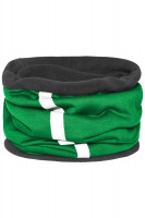 Fern-green/carbon (ca. Pantone 347C/425C)