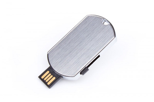 USB Stick Hundemarke 512 MB